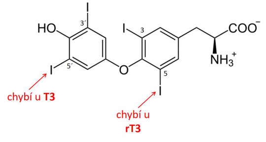 Vzorec thyroxinu (T4) a vyznačení míst dejodace při vzniku T3 a rT3