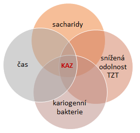 3. Diagram vzniku zubního kazu