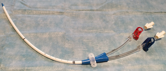 10. Dialyzační kanyla