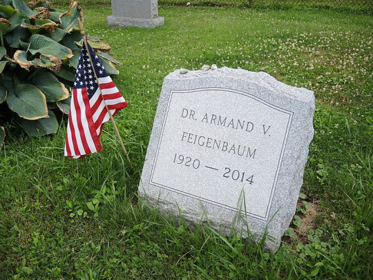 36. A. G. Feigenbaum