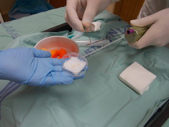 34. Kontrola odebraného vzorku