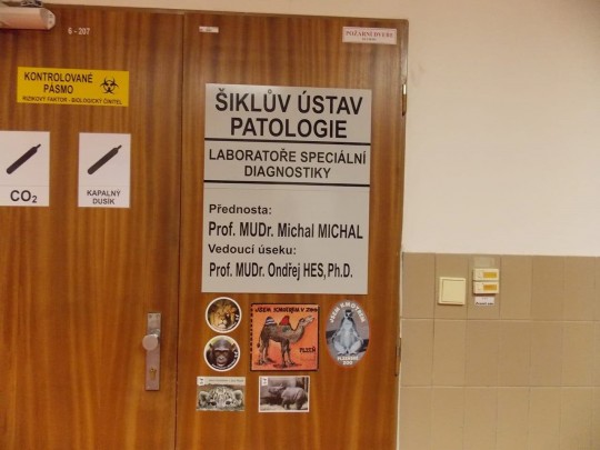 39. Šiklův ústav patologie ve FN Plzeň
