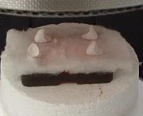 9. Vysušené kapny připravené k sintrování v peci