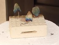 10. Nanesený skleněný prášek na sintrované kapny (před infiltrací)