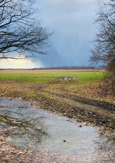 Vliv prostředí na zdraví člověka